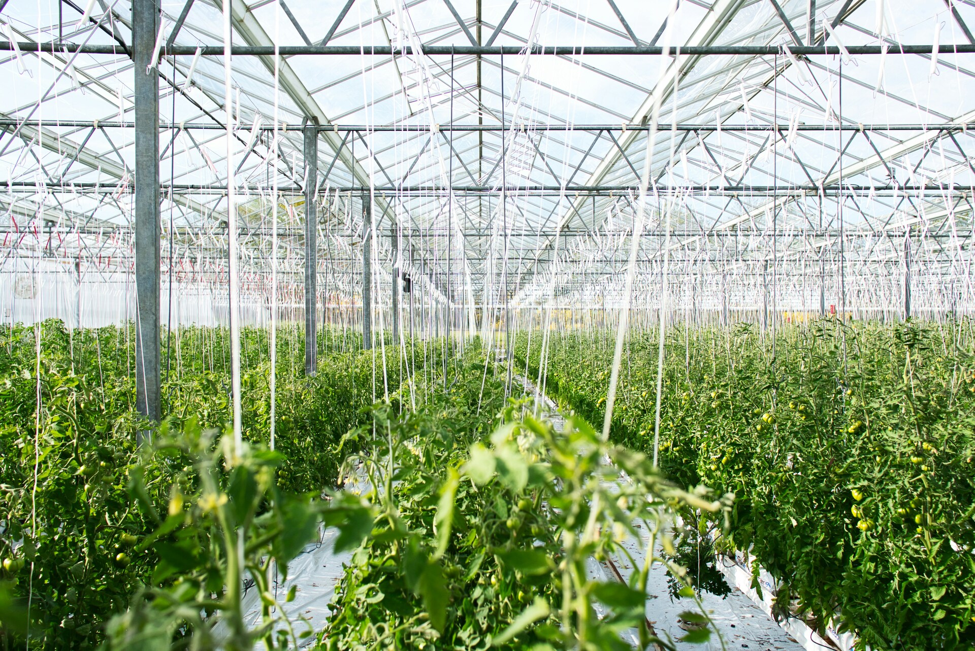 Secteur Agriculture